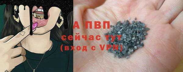 стаф Сосновый Бор