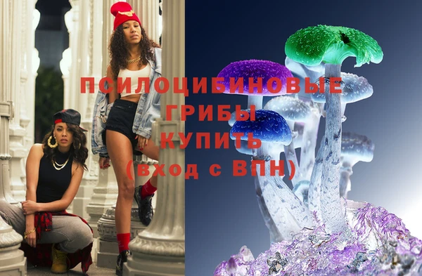стаф Сосновый Бор