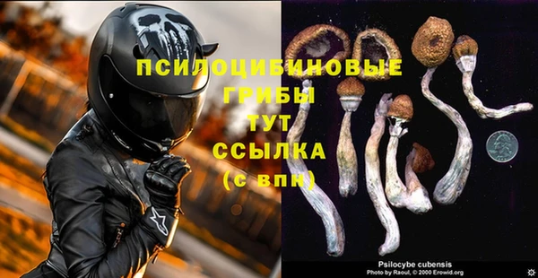 стаф Сосновый Бор