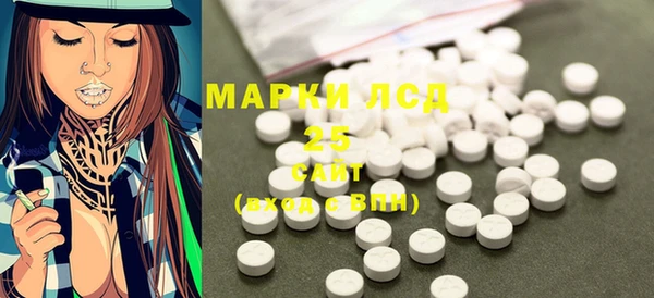 стаф Сосновый Бор