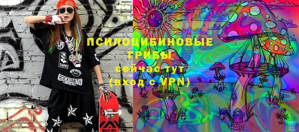 apvp Сосновка