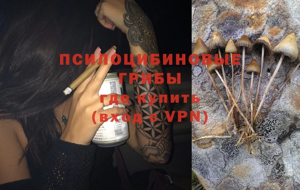 apvp Сосновка