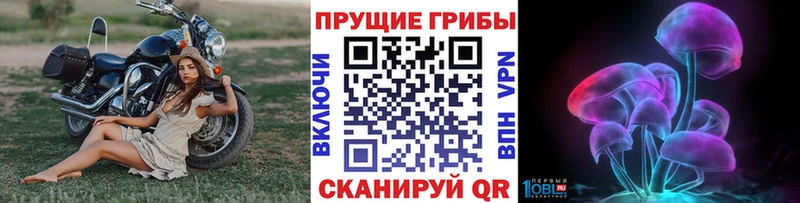 Галлюциногенные грибы ЛСД  hydra ONION  Тында 