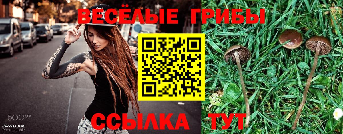 ГАШ  Тында  Меф   МЕФ кристаллы  Бошки Шишки  COCAIN 