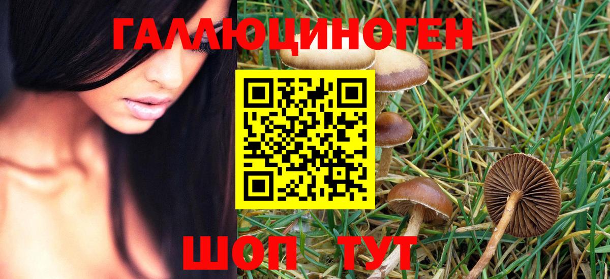 Галлюциногенные грибы мицелий Тында