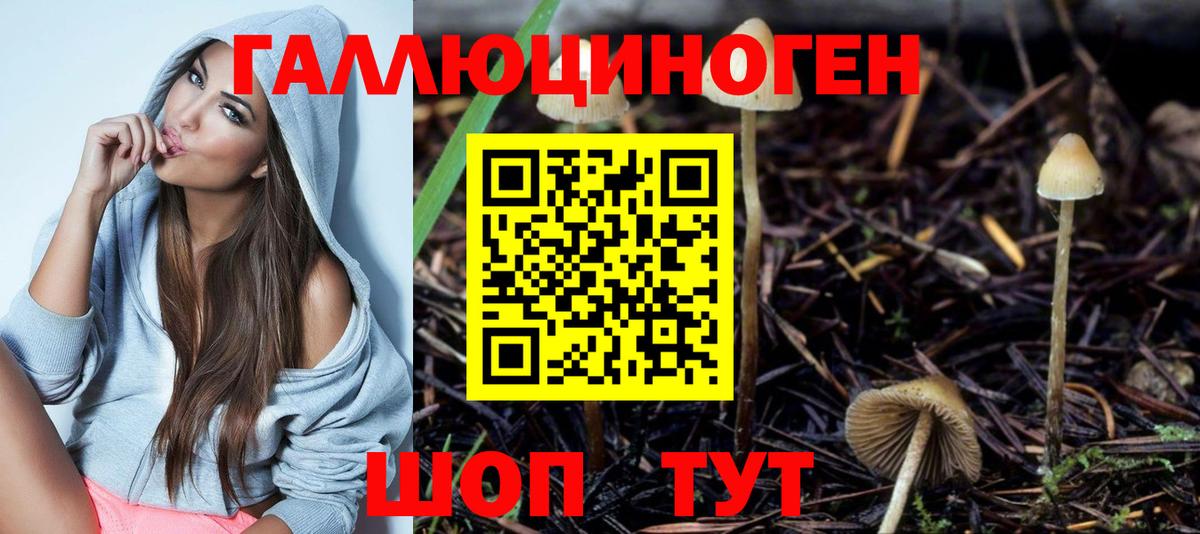 Галлюциногенные грибы Magic Shrooms Тында