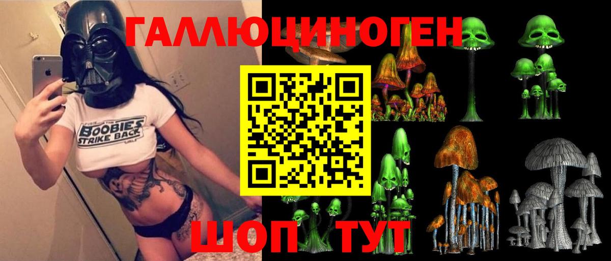 Тында  Псилоцибиновые грибы прущие грибы  Вход с VPN  Псилоцибиновые грибы MAGIC MUSHROOMS 