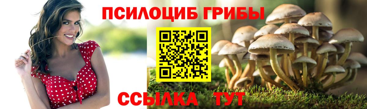 Псилоцибиновые грибы ЛСД  Тында  Галлюциногенные грибы прущие грибы 